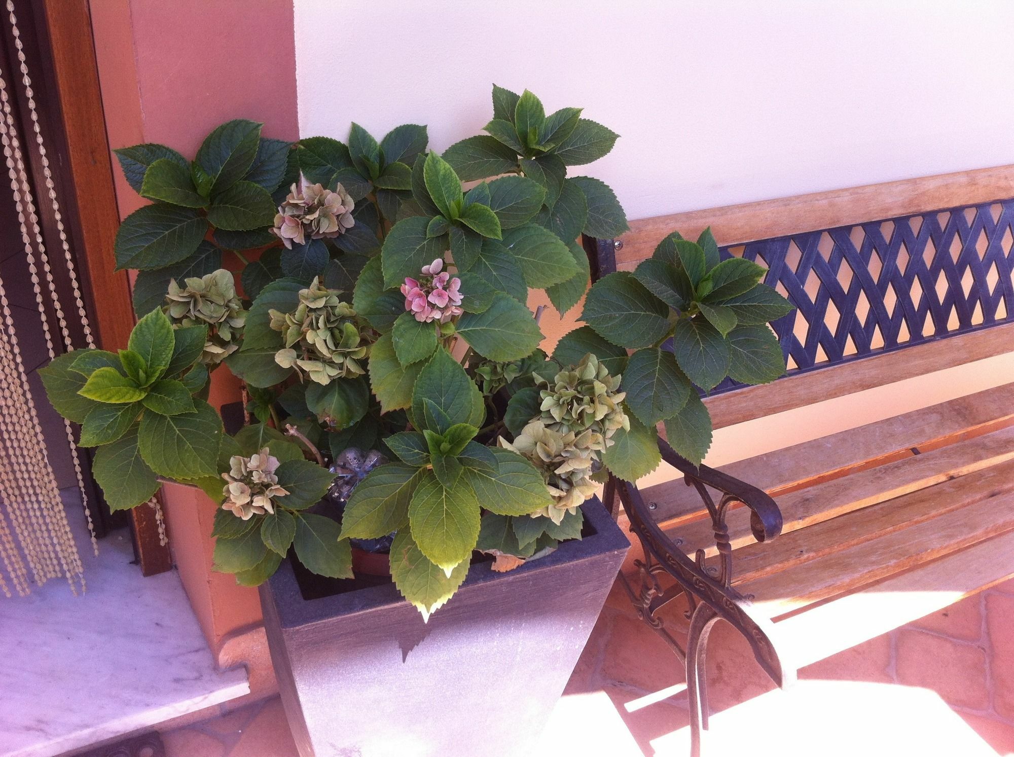 Nataly'S House Bed&Breakfast La Massimina-Casal Lumbroso Luaran gambar
